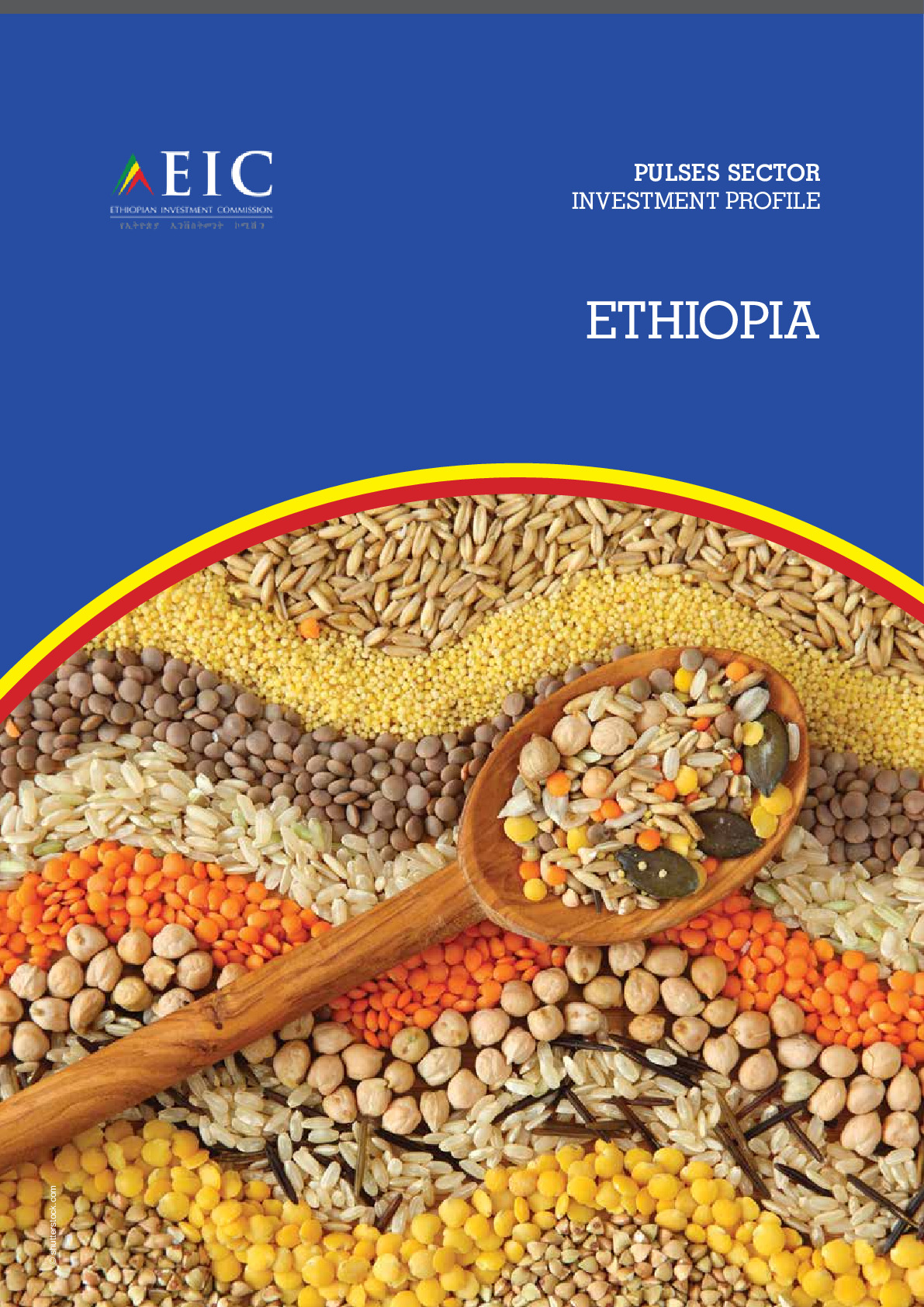 ethiopia_pulses_booklet_20201016_web