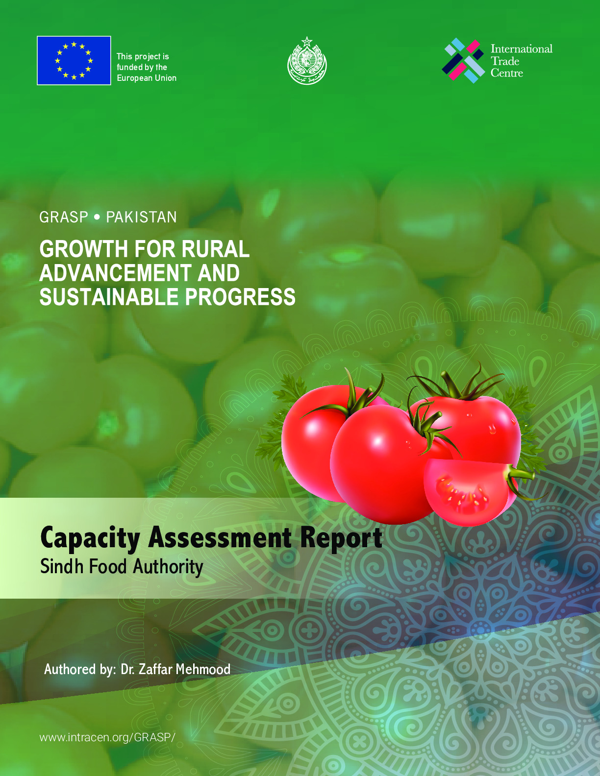 capacity_assessment_report_sindh_copy_4