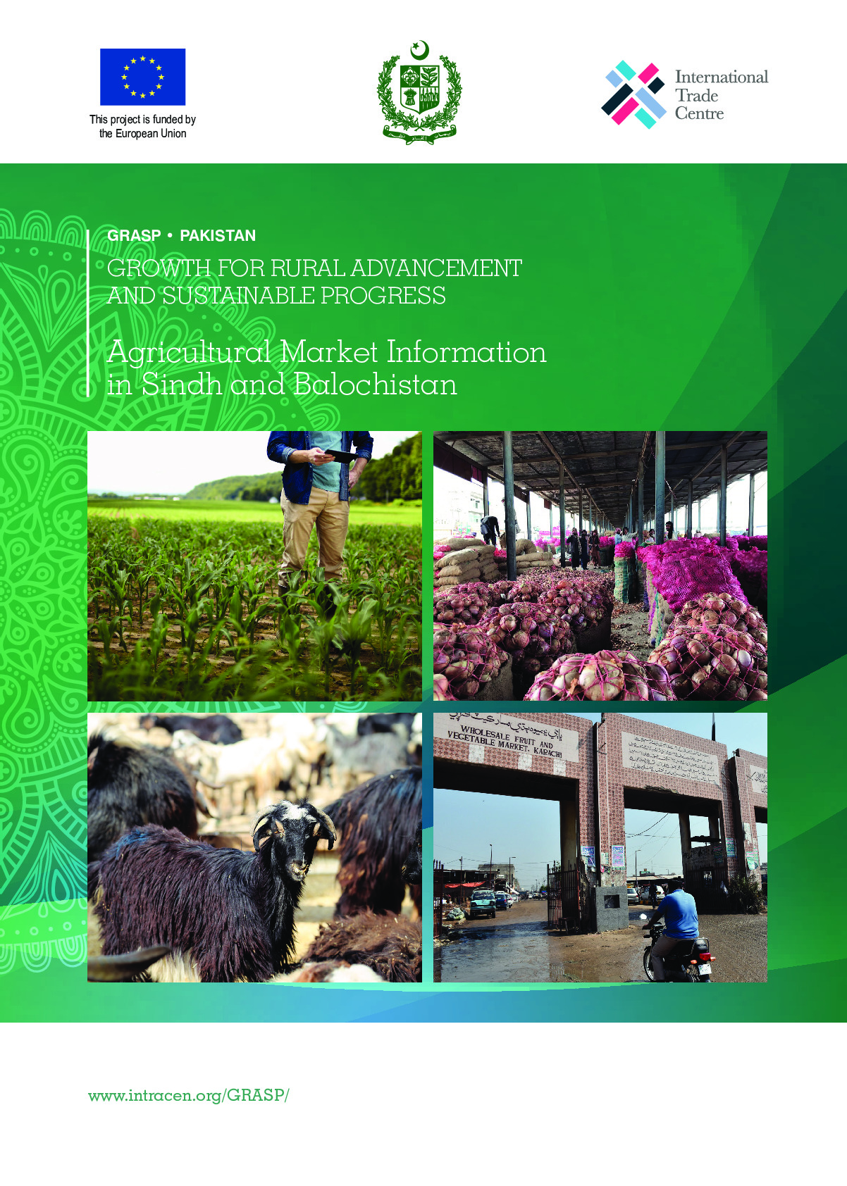 grasp-8-market_information_system-2020_report_1