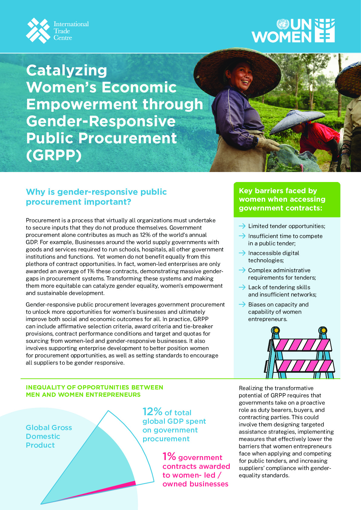 catalyzing_womens_economic_empowerment_through_gender-responsive_public_procurement_grpp