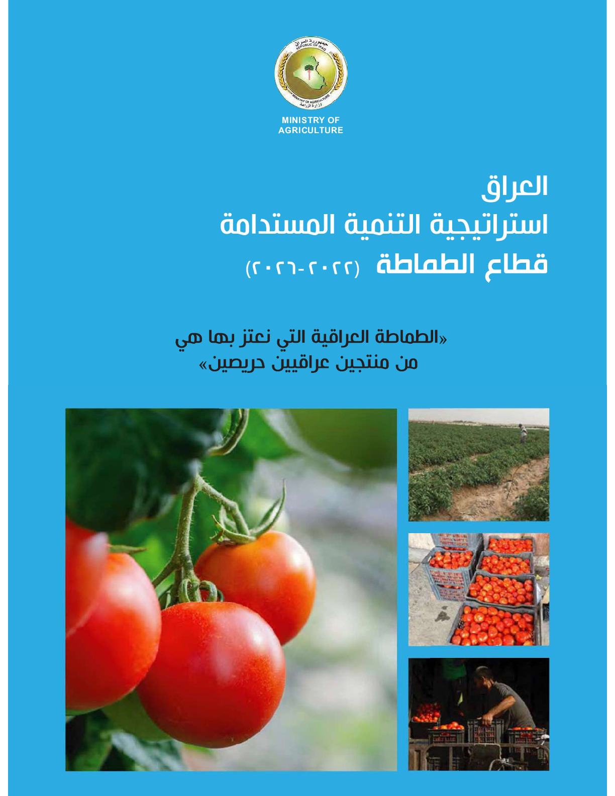 tomato_sector_strategy_of_iraq_web_compressed