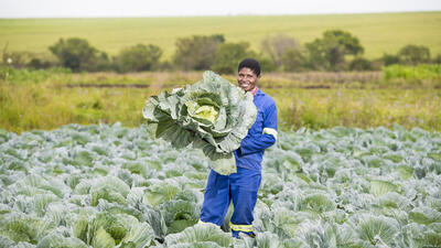 Farmer with cabbage Eswatini