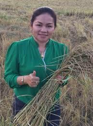 Woman holding rice plants and giving a thumbs up