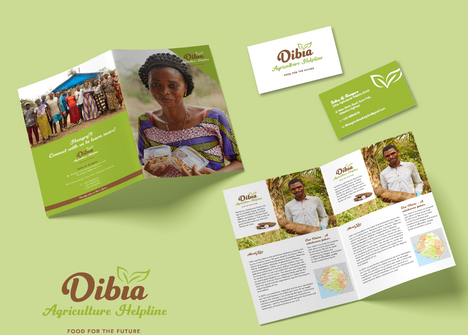 Sample of a brochure in light green for Sierre Leone farmers