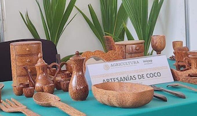 Mexican coconut products displayed on table