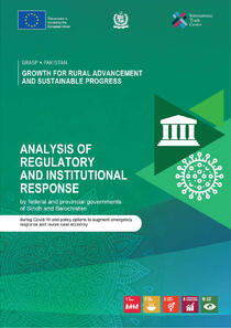 grasp-9-analysis_of_regulatory_and_institutional_response_0