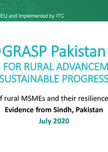 grasp-sindh_complementary_results_2020_0