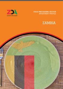 zambia_food_processing_booklet_20201013
