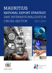 2017-2021_mauritius_-_national_export_strategy_sme_internationalisation