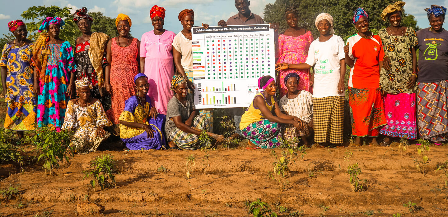 Gambian women stand in a field next to a color-coded board that shows their planting calendar