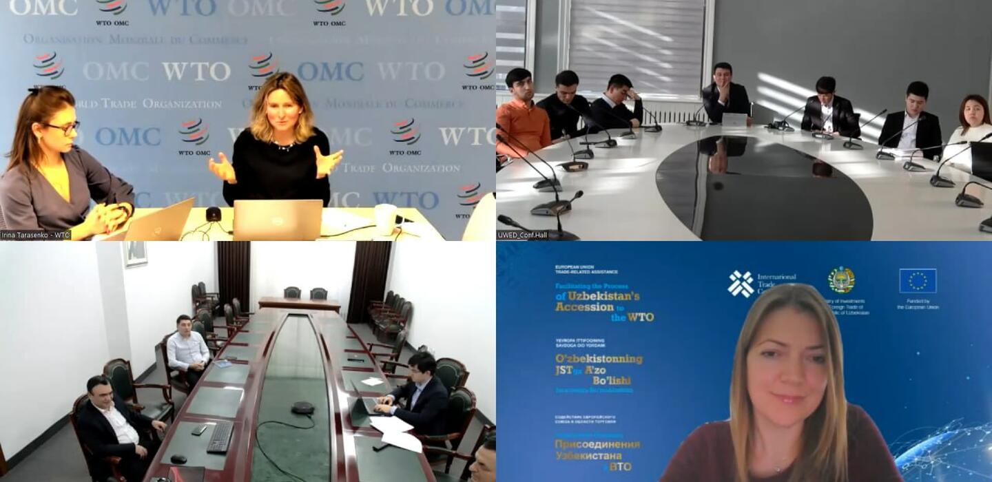 Irina Tarasenko of the WTO presented a module on import licensing procedures