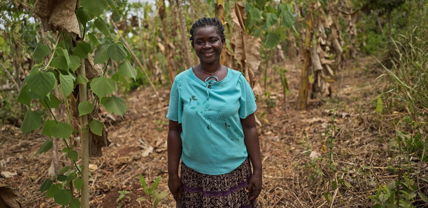 Ghanaian woman stands in forest near cocoa trees