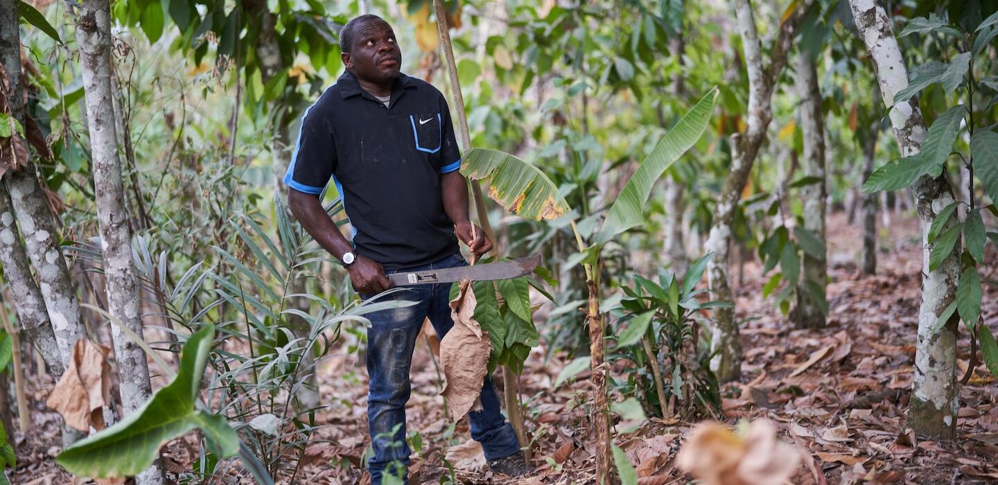 Ghanaian farmer stands in forest with machete 