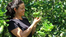 A smiling South American woman facing right, holding a cluster of green limes in front of green and leafy foliage.