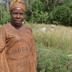 Guinean woman in brown dress walks through rice paddies 